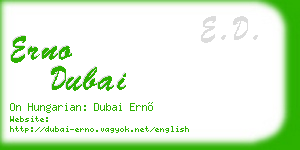 erno dubai business card