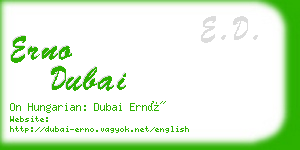 erno dubai business card